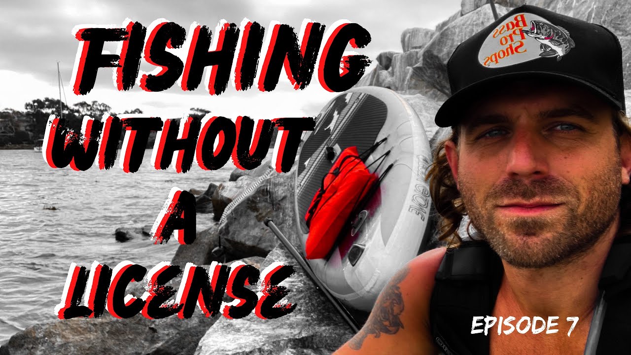 FISHING WITHOUT A LICENSE (Sea Lion Encounters) Dana Point Harbor