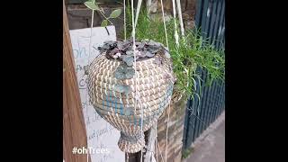 String of hearts VAR and rattan basket at #ohTrees