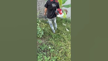 Oshima 541 nòng 40li , sử dụng gia đình hay đi phát thuê đều rất tốt