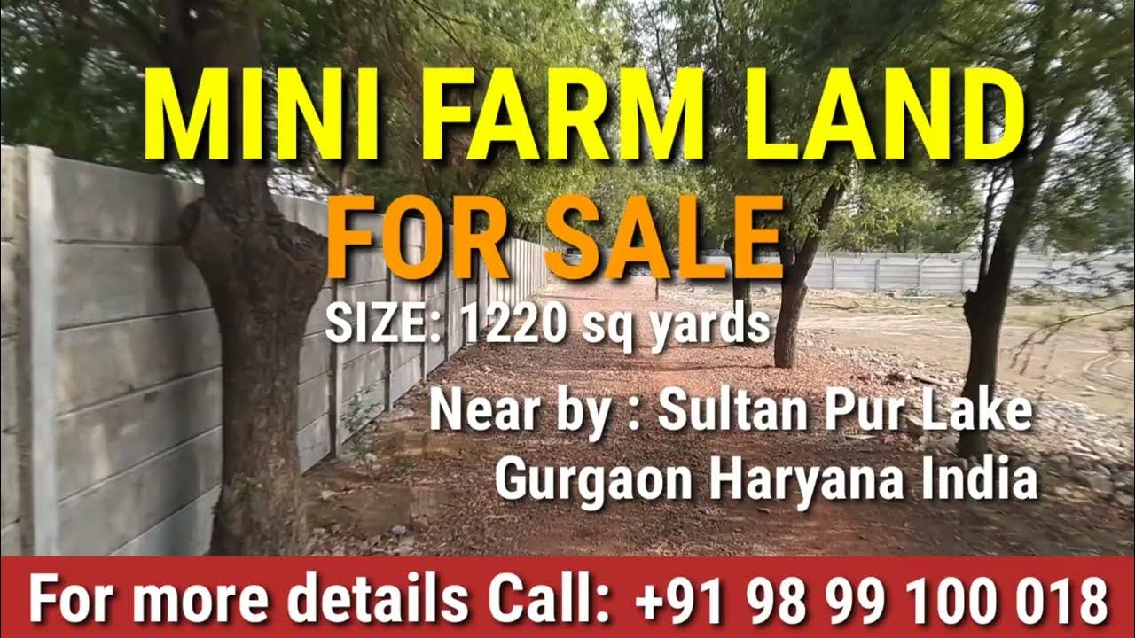 Farm Land for Sale Sultanpur Gurgaon Haryana India Call +91 9899100018
