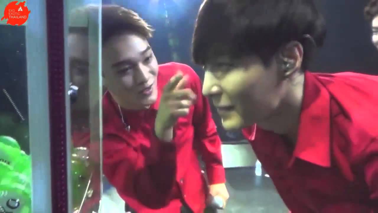 LAYCHEN MY LOVE IS YOU