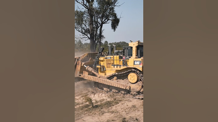 HUGE Tree vs. MASSIVE D10 Bulldozer – Who Comes Out on Top? 🏆