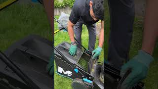 Garden Lawn Mowing #lawnmowing  #gardentransformation  #beforeandafter  #gardencleanup