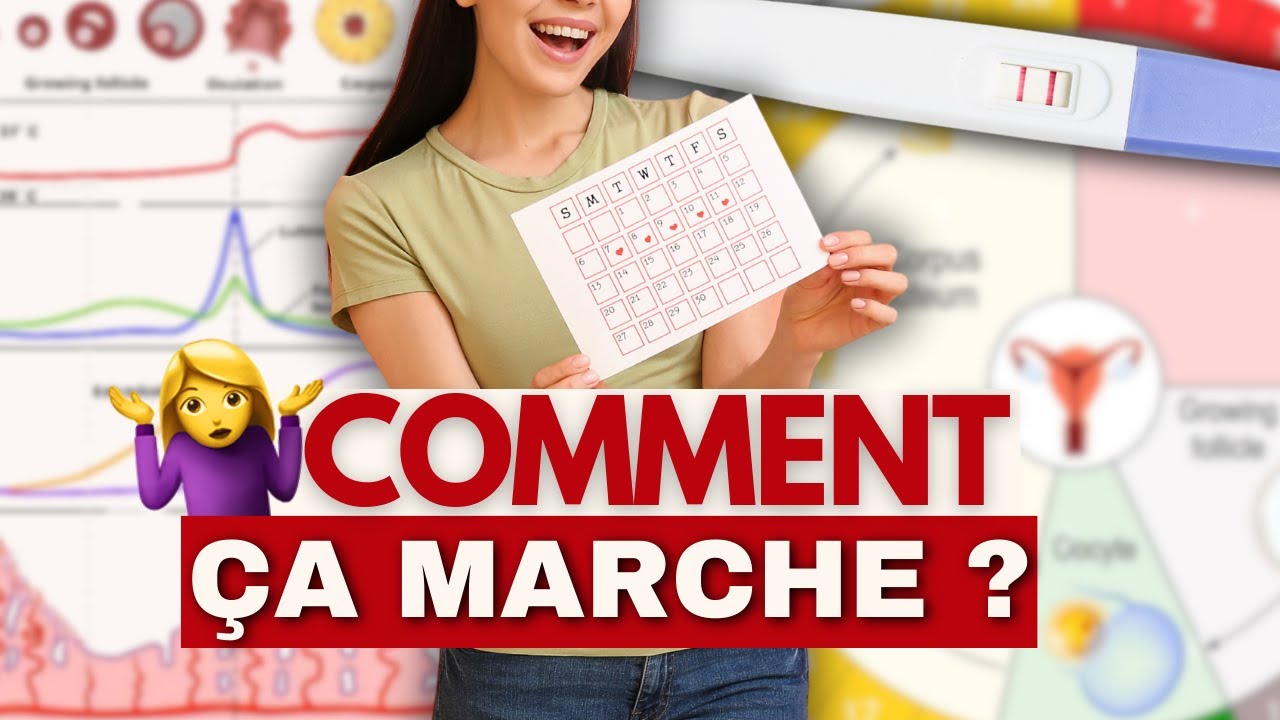 CYCLE MENSTRUEL : ce qu’on devrait toutes savoir !