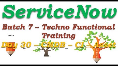 Batch 7 || Day 30 || CMDB - CI -- Asset Introduction  ||Techno Functional Training || San Diego