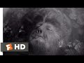 The Wolf Man (1941) - Your Suffering Has Ended Scene (10/10) | Movieclips