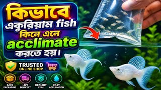Online Fish Buying Guide Bangladesh | Trusted Shop + Acclimation...🐠