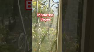 Молитва Веры #бог #божья #люблю #милост #любовь #природа #чудесногодня #доброгоутраихорошегодня