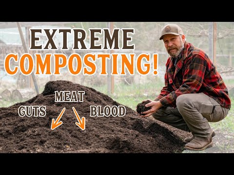 Video: Informacije o kompostiranju mesa - šta trebate znati o stavljanju mesa u kompost