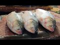 DELICIOUS ILISH &amp; BLACK POMFRET FISH CUTTING SKILLS | BANGLADESH FISH MARKET