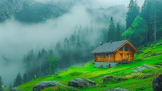 Beautiful Relaxing Music - Music heals the heart, Relaxing Music For Stress Relief, Calming Music