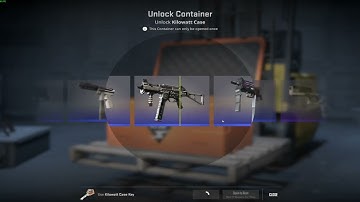 Opening cases until i dont feel like it day 993