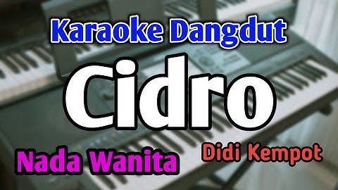 CIDRO - KARAOKE || NADA WANITA CEWEK || Didi Kempot || Audio HQ || Live Keyboard
