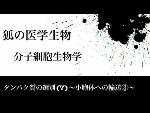 分子細胞生物学62 タンパク質の選別(7)〜小胞体への輸送③〜