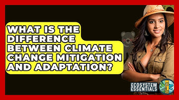 What Is The Difference Between Climate Change Mitigation And Adaptation? - Ecosystem Essentials