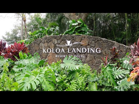 Koloa Landing Resort at Poipu Review | Kauai, HI | April 2023