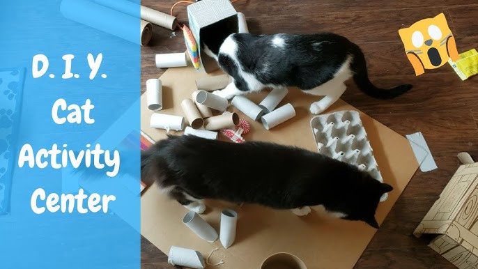 Cat Food Puzzles: How and Why to Use Them • KittyCatGO