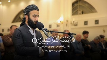 سورة التين surah at tin القارئ سوران صديق