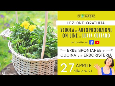 "Erbe Spontanee in Cucina e in Erboristeria" con Lucia Cuffaro - Scuola dell&rsquo;Autoproduzione on line