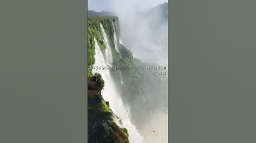 تلاوة بصوت القارئ محمد الوكيل من سورة الانعام