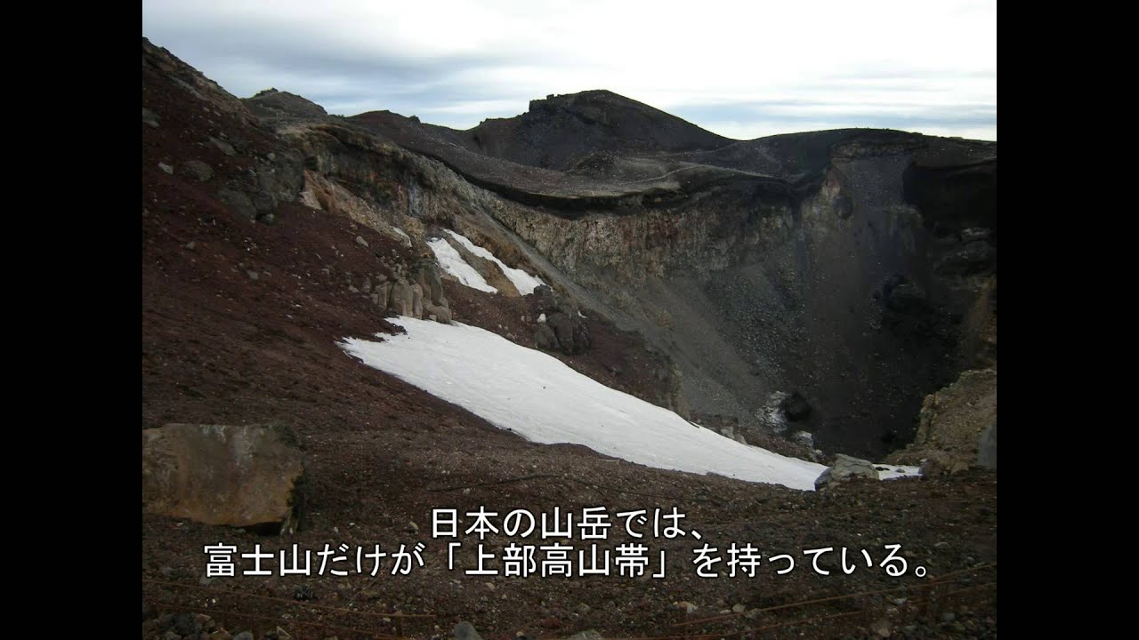 変わる富士山の高山植物 Youtube