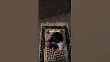 ﴿قَالُوا ءَأَنت فَعَلْتَ هذَا بِآلِهَتِنَا﴾ سورة الأنبياء، الشيخ ياسر الدوسري #قرآن كريم #ارح قلبك
