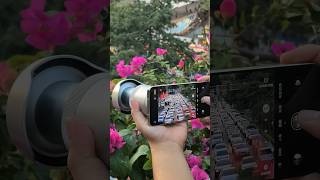 The first batch of photographer are already using Huawei Mate 90's 'mini-cannon' optical zoom camera