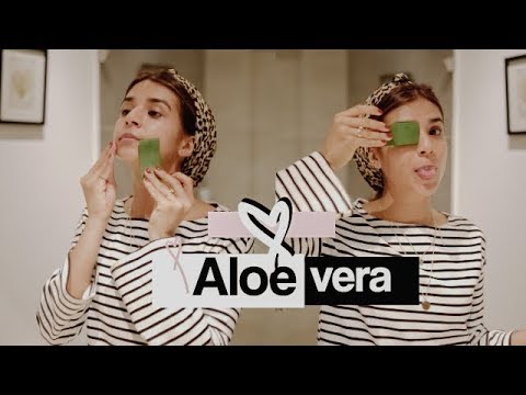 Vídeo: 7 Usos Increíbles Para El Aloe Vera