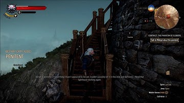 The Witcher 3 The Phantom Of Eldberg