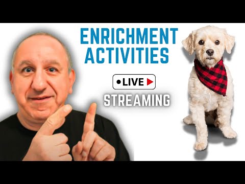 Guide to Keeping Your Dog Engaged and Excited with Enrichment Activities