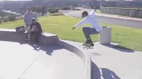 Damato Archives (2014-2015)