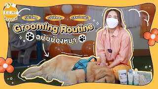 มาทำความสะอาดน้องหมากัน! Grooming Routine #kugarden #pets #ทาสแมว #ทาสหมา