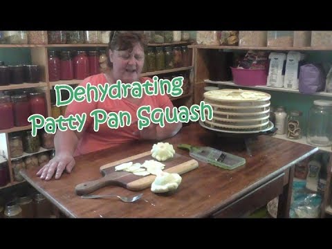 Dehydrating Patty Pan Squash