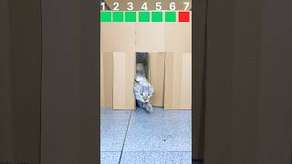 He Beat Level 1… But Can He Jump This?! (Part 2)