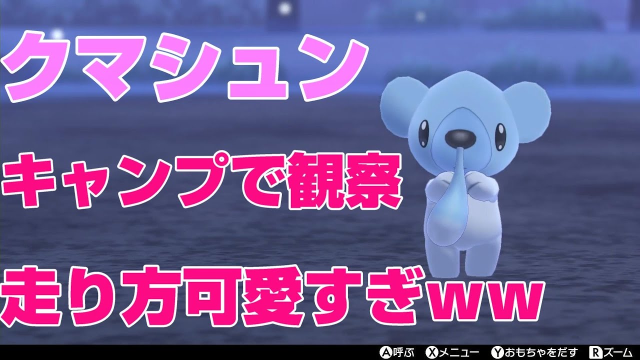ポケモンキャンプ実況 クマシュンをキャンプに集めてみた Youtube