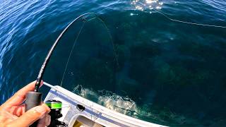 Can't Believe How Many Fish There Were!