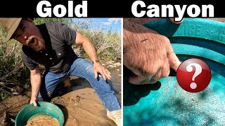 Why This Location is the Best Place to Find Placer Gold !
