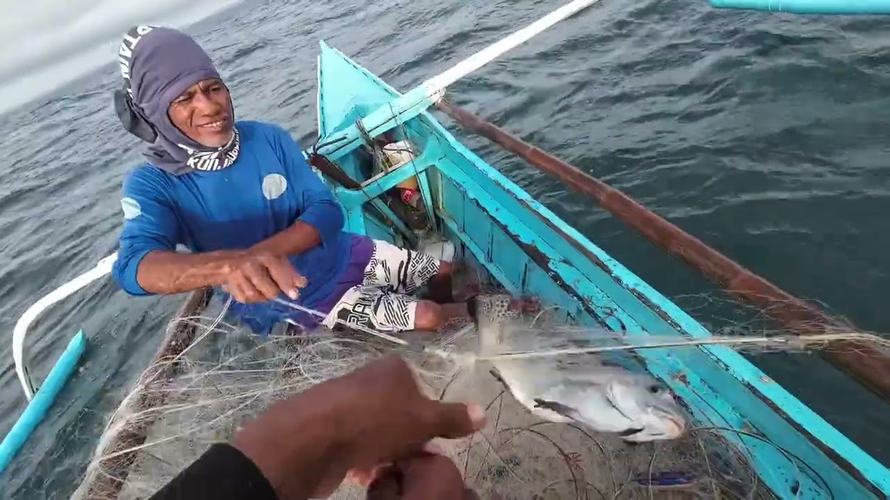 LAMBAT SUMABIT MAY GROUPER PALA NA PUMULUPOT TSAMBA PA #grouper #lambat #fishing