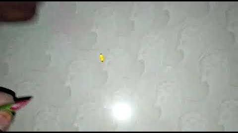NAGMANI AVAILABLE ORIGINAL REAL FLOWER TEST CALL ME 9850478643 RUBY ROY(2)