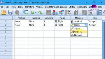 Krushkal Wallis Test Using SPSS - Non Parametric Data Analysis