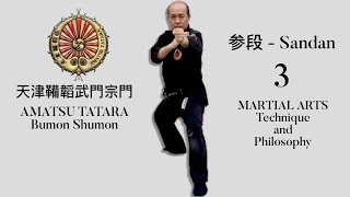 Level 3 - Martial Arts Technique and Philosophy 武門宗門