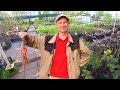 What Can You Buy with $ 3  ???  Inside HUGE Russian Garden Center