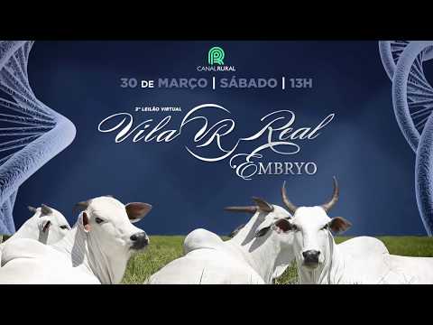 LOTE 32 (VRI 1322/VRI 1173)