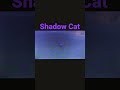 A Hellcat From The Shadow Realm Shadow Cat Full Video Will Be Released In Halloween mp3