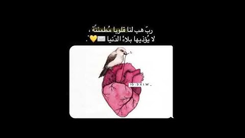 القارئ عبدالرحمن مسعد  { ذلك عالم الغيب والشهادة العزيز الرحيم}  حالات واتساب قرآن كريم