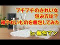 プチプチのきれいな包み方【箱や丸いものを梱包してみた】