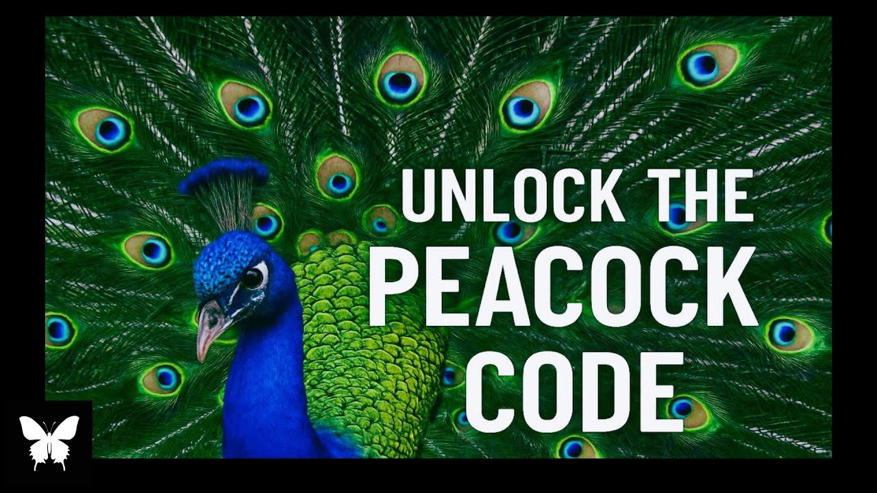 Peacock Spirit Animal Symbol and Meaning