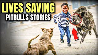 Pit Bull Heroes: Saving Lives with Incredible Stories