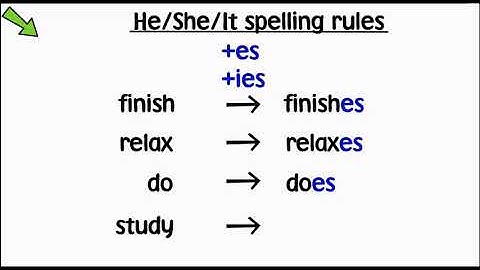 Present simple positive and negative