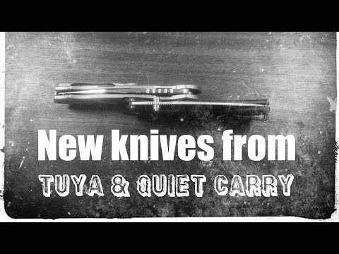 Are Tuya & QuietCarry offering the most for your money 